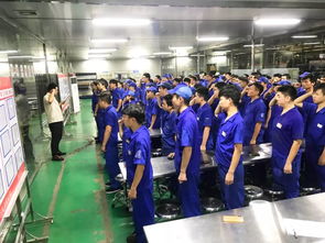 重预防 抓落实 提能力 保安全 十一部总装深圳工厂底盘工段专项安全教育四部曲