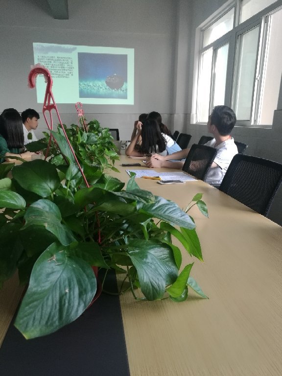 江苏景宁信息技术 赋能个性化教育咨询服务的新路径